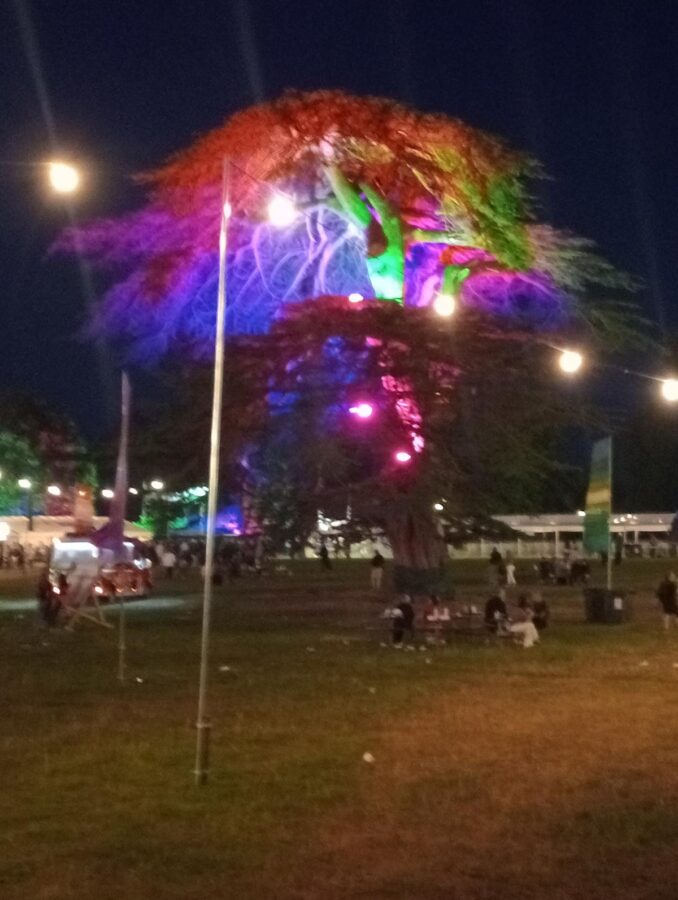 Another photo from the concert at Powderham Castle. A large mature tree is illuminated with multi-coloured lights in the darkness. Other strings of lights on poles are illuminating the site. Dispersed groups of people are sitting at tables or on the grass. There are large tents in the background.