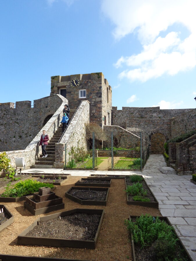 One of four small gardens at Castle Cornet. This is Lambert's Garden, named after General Sir John Lambert, who was held prisoner here for ten years following the fall of Oliver Cromwell and the return of the monarchy after the English Civil War. He is known to have kept a garden while a prisoner here. The garden is formally laid out with beds separated by gravel paths. Stone walls, steps and a tower with a clockface can be seen in the background.