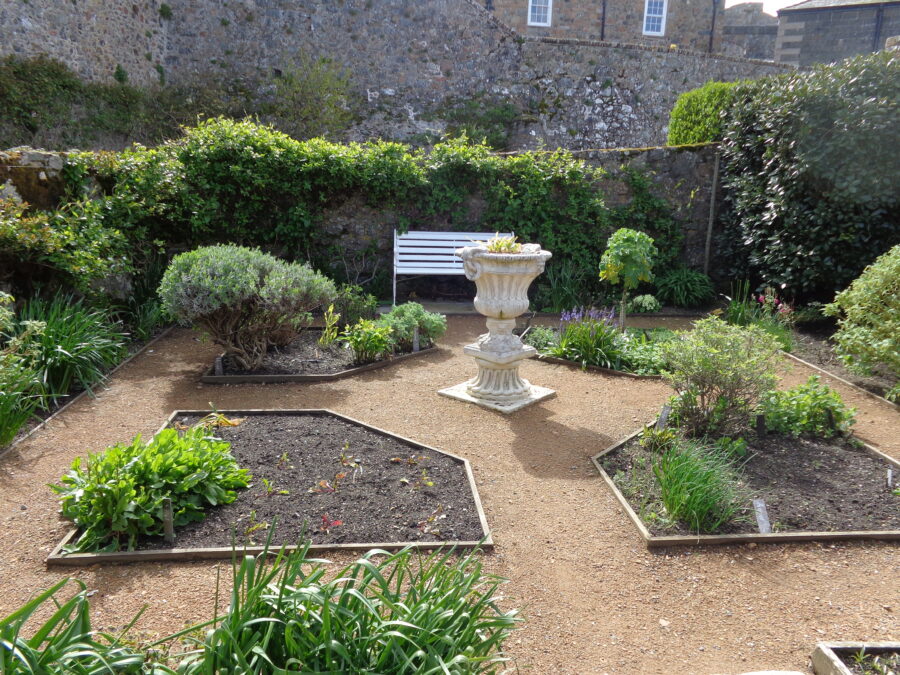 Another part of Lambert's Garden at Castle Cornet. It is again formally planted with a stone urn in the centre of four geometrically laid out beds. There is a white bench behind. The garden appears to be mostly planted with herbs.
