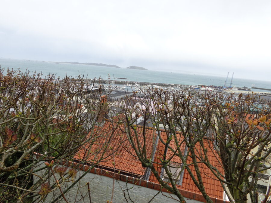 Another view over St. Peter Port towards the harbour. The island of Herm is clearly visible in the distance. In the further distance, to the right, the island of Sark is also just visible in the haze. Red and black tiled rooftops can be seen below and immediately in front is a leafless hedge with spring buds ready to open.