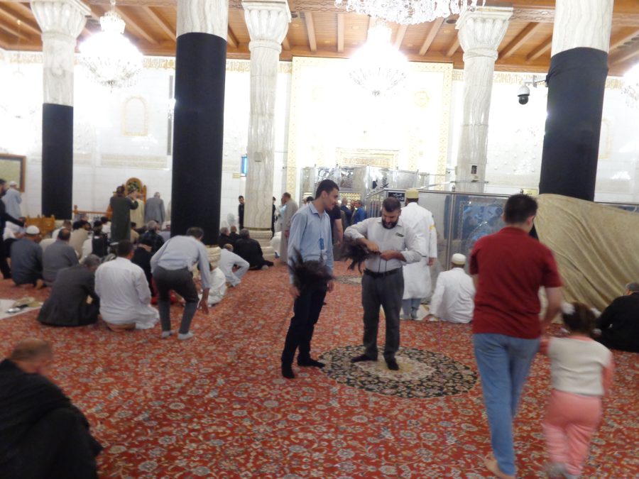Interior of the Great Mosque of Kufa. The floor is covered with a patterned red carpet and people, all men except for one small child, can be seen sitting and standing, some apparently kneeling in prayer.  There are white marble columns and some of them are wrapped in black fabric. The ceiling is made of wood, and is mostly plain, except for simple geometric decoration on a central beam. There are also chandeliers hanging down. The wall in front is white with bands of geometric decoration and calligraphy. Many of the men are dressed in shirts and suits but a few are wearing more traditional white robes with flat kufi hats.

Kufa Great Mosque is a Shia mosque and shrine located in Kufa. It was completed in 670 CE and is one of the earliest surviving mosques in the world. The mosque was home to Ali ibn Abi Talib, the cousin and son-in-law of the prophet Muhammad.  It also contains the shrine of Muslim ibn Aqeel al-Hashimi (Early 640s or late 650s-10 September 680), his companion, Hani ibn Urwa al-Muradi (d. 680) and the revolutionary, Al-Mukhtar (Born: Mukhtar ibn Abu Ubayd, c. 622-3 April 687). The mosque has been significantly rebuilt and restored multiple times in its history.