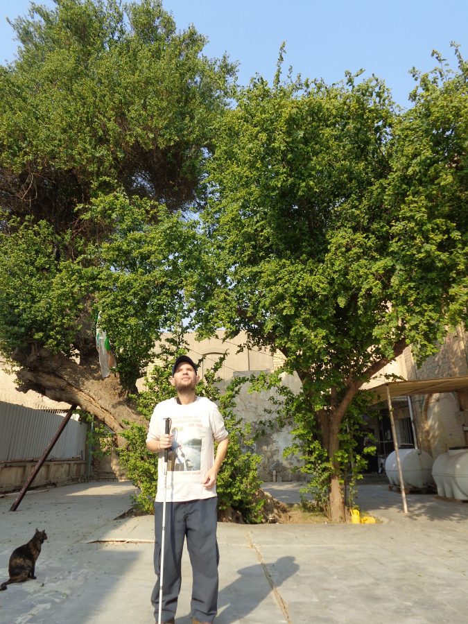 Tony in the courtyard of the Al-Wazeer (Al-Wasir) Mosque. Tony is standing in the foreground with stone slabs underfoot. In the background are a pair of mature trees covered in green foliage. The courtyard is enclosed by walls. A dark tortoiseshell cat is sitting on the ground close to Tony.
